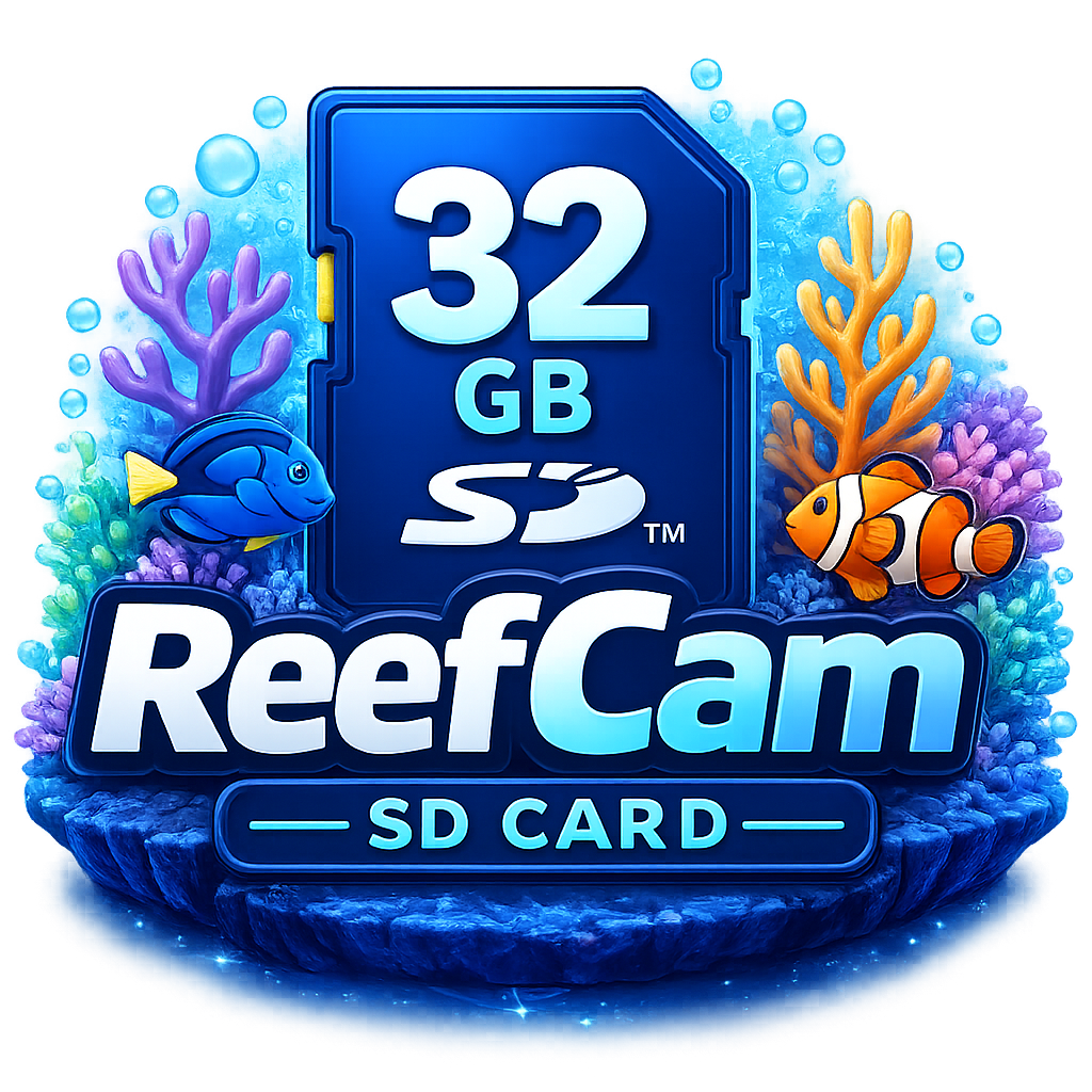 32GB SD Card