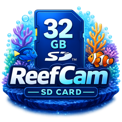 32GB SD Card