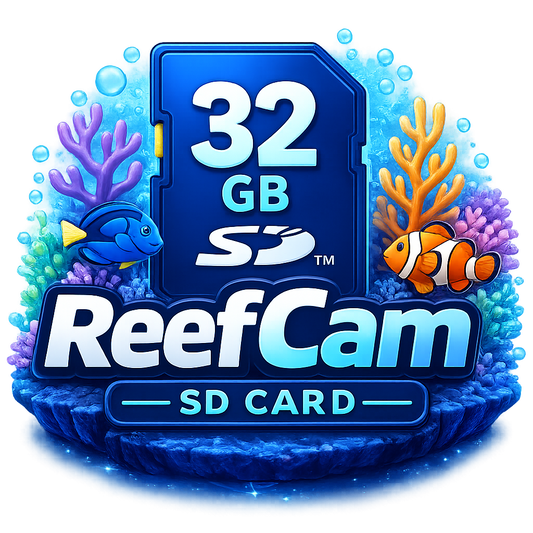 32GB SD Card