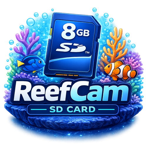 8GB SD Card